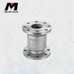 進(jìn)口立式止回閥