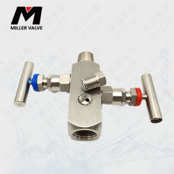 進(jìn)口二組閥