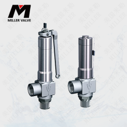 進口德標安全閥