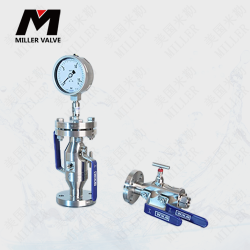 進(jìn)口工藝閥