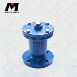 進(jìn)口污水排氣閥