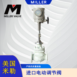 進(jìn)口電動(dòng)針型閥