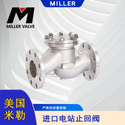 進(jìn)口電站止回閥