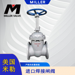 進(jìn)口焊接閘閥