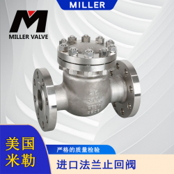 進(jìn)口法蘭止回閥
