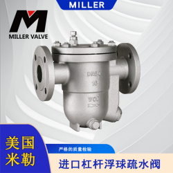 進(jìn)口杠桿浮球疏水閥