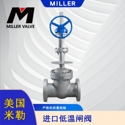 進(jìn)口低溫閘閥