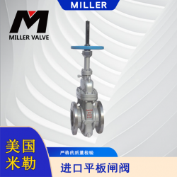 進(jìn)口平板閘閥