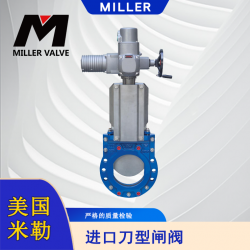 進(jìn)口刀型閘閥