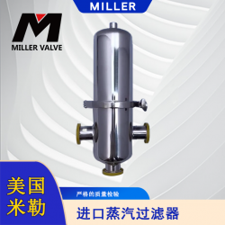 進口蒸汽過濾器