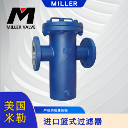 進口籃式過濾器