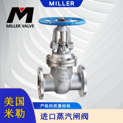 進(jìn)口蒸汽閘閥