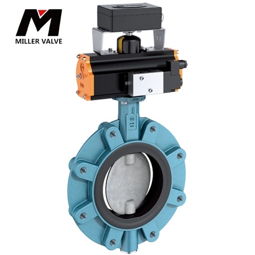 進(jìn)口支耳式蝶閥