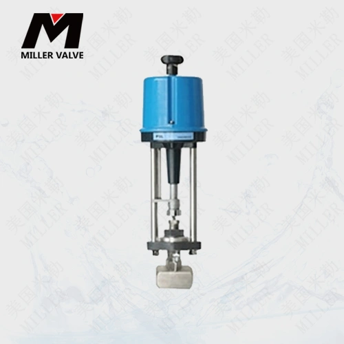 進口電動小流量調(diào)節(jié)閥