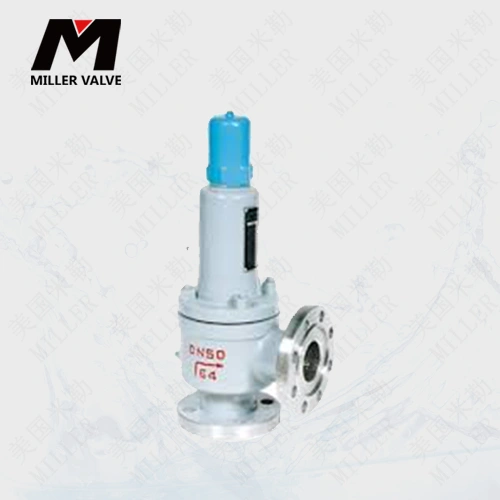 進口波紋管安全閥