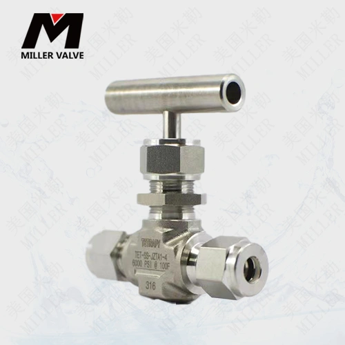 進(jìn)口波紋針型閥