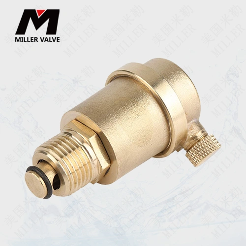 進口微量排氣閥