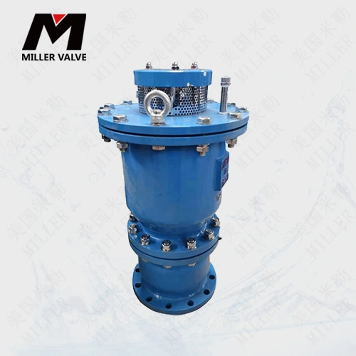 進(jìn)口防水錘排氣閥