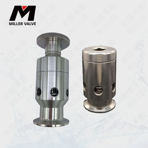 進(jìn)口不銹鋼排氣閥