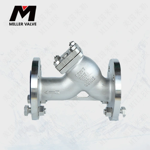 進(jìn)口不銹鋼過濾器