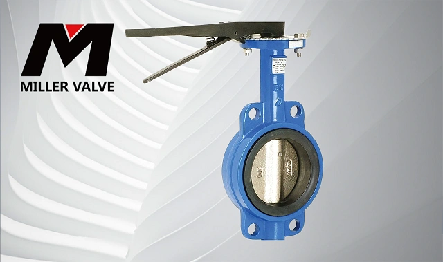 進(jìn)口對(duì)夾蝶閥