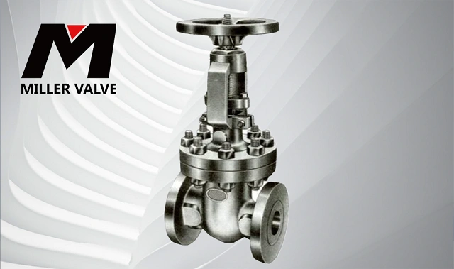 進口美標(biāo)閘閥