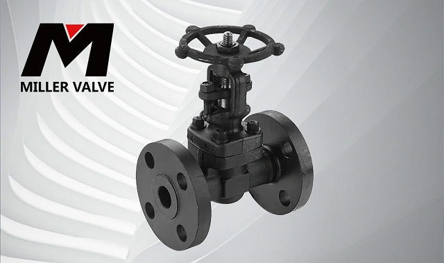 進(jìn)口鍛鋼閘閥