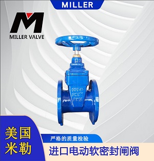 進(jìn)口電動(dòng)軟密封閘閥