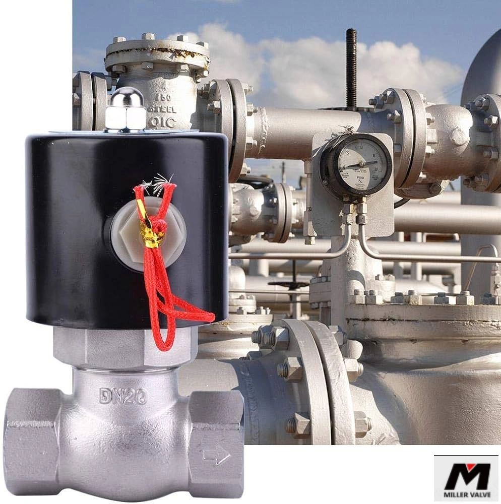 進(jìn)口電磁閥