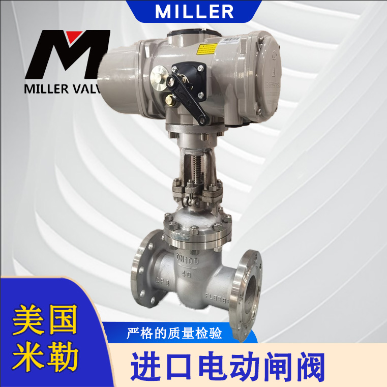 進(jìn)口電動(dòng)閘閥